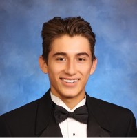 david